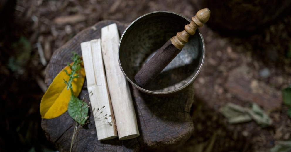 Learn how nature mindfulness on retreat at Sharpham can assist you if you're anxious or suffering depression and low mood