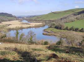 Our rewilding fields