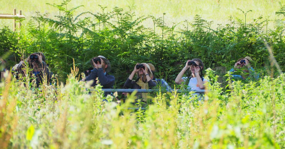 Retreatants bird watching on a Coach House retreat at The Sharpham Trust