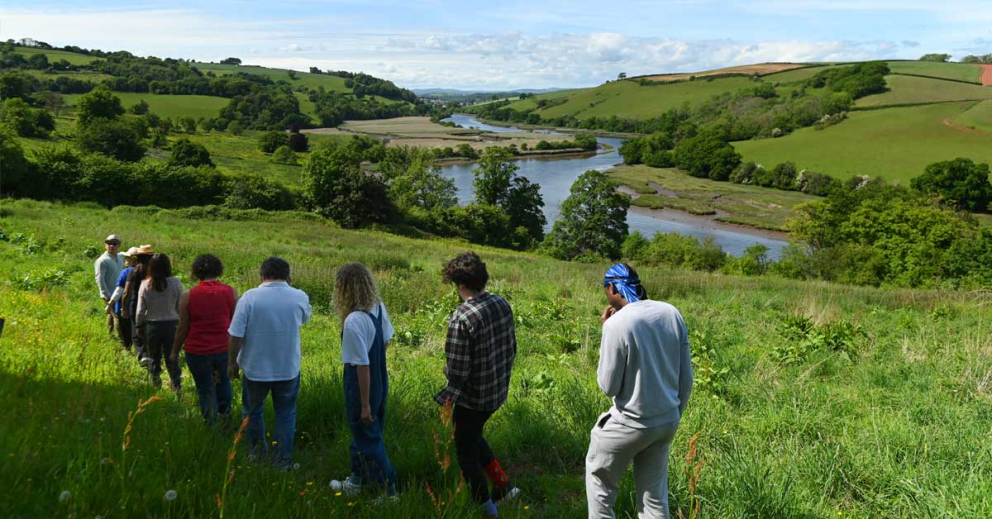 Retreatants in the rewilding fields on a Coach House retreat at The Sharpham Trust