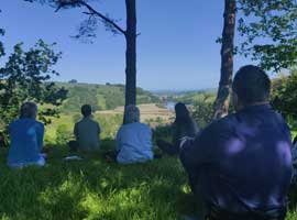 forest bathing on the tree-planting retreat on the Sharpham Estate