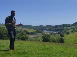 Rewilding at Sharpham