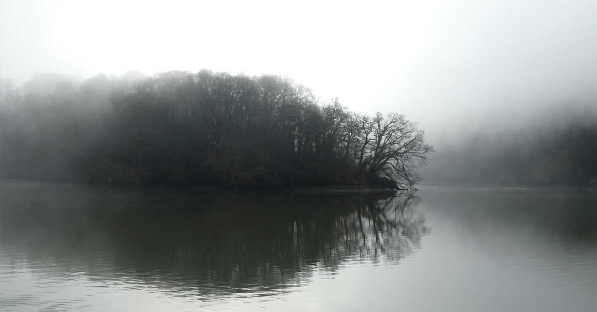 The misty River Dart at Sharpham