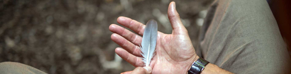 Self-Compassion Retreats at Sharpham Trust