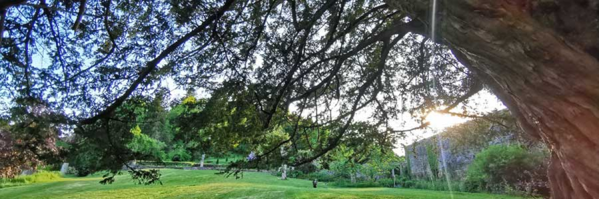 Self-Compassion Retreats at Sharpham Trust