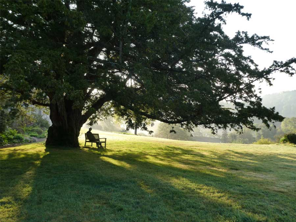 Singing retreat at Sharpham House