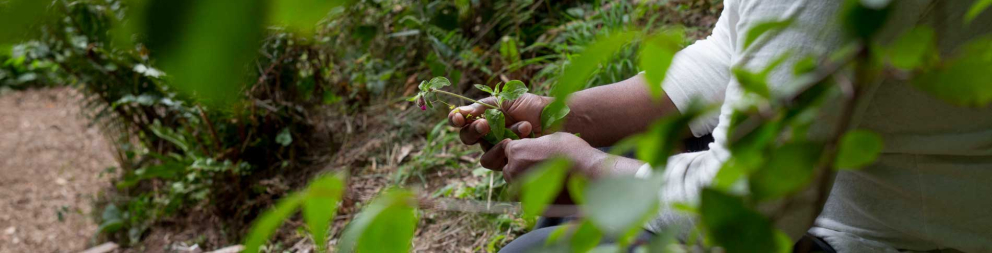 Silent 3 Nights Sharpham House Retreat