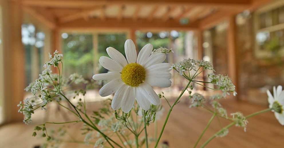 Flowers in the light and airy extension in our Coach House retreat venue