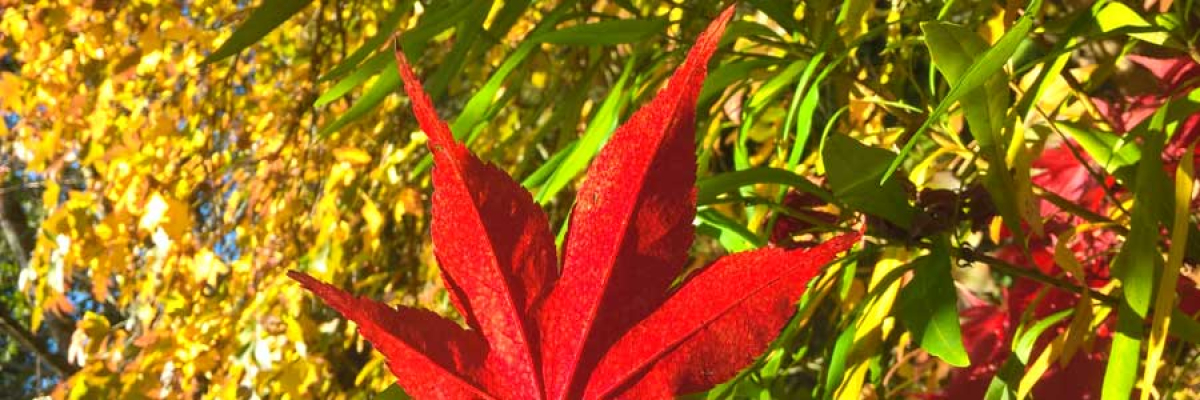 Seasonal Retreats at Sharpham House