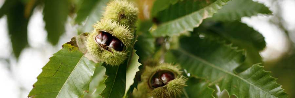 Seasonal Retreats at Sharpham House