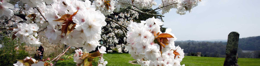 Spring Retreats at Sharpham House