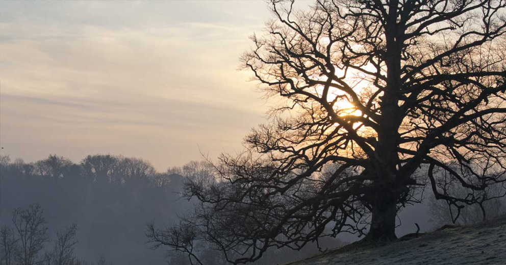 Winter Retreats at Sharpham House