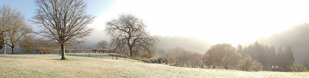 Winter Retreats at Sharpham House