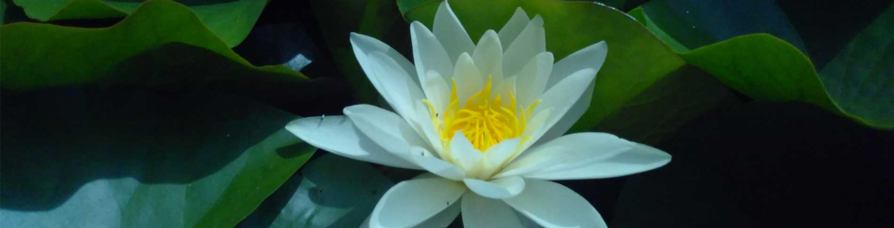 taking mindfulness deeper main