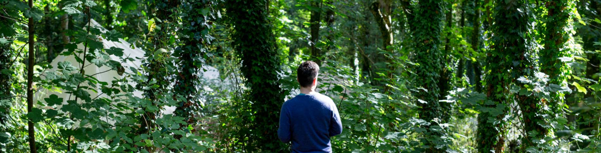 Woodland Retreats 5 nights