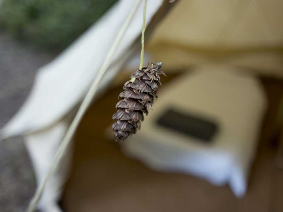 Woodland Retreat Sharpham Trust