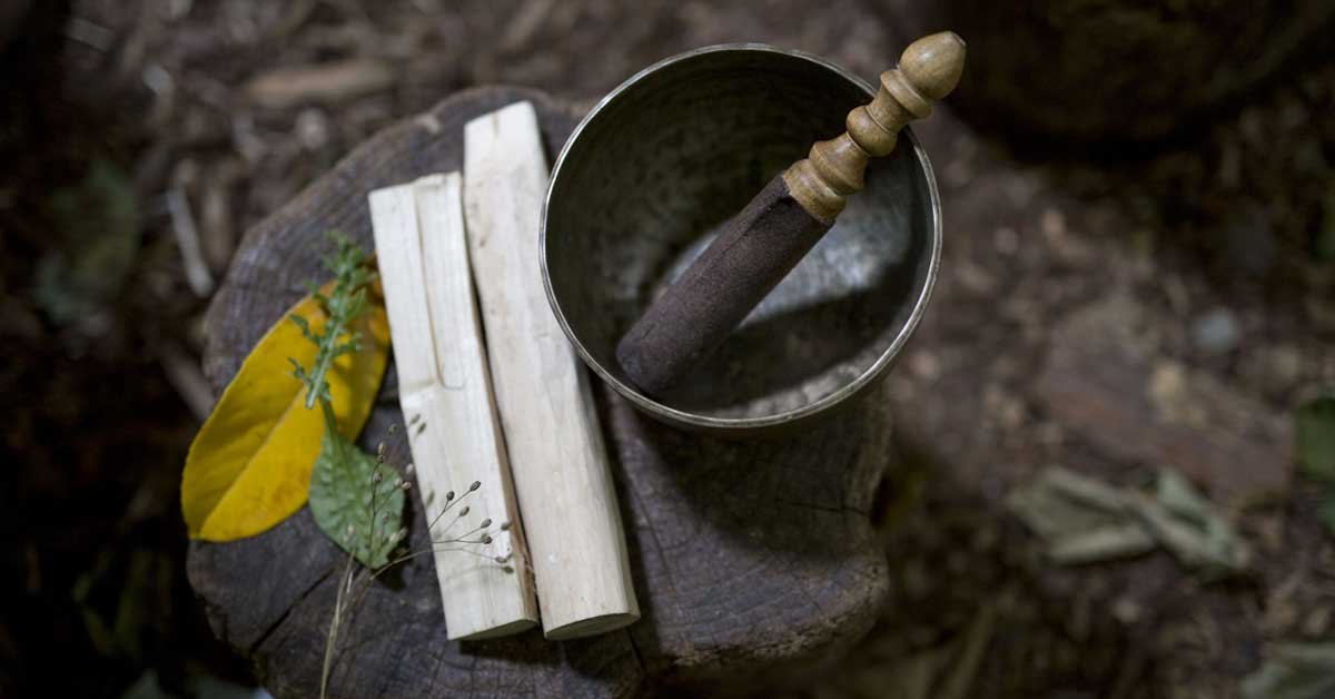 Rewild Yourself - a retreat for inner rewilding