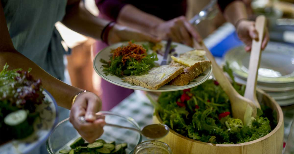 Rewild Yourself - a retreat for inner rewilding