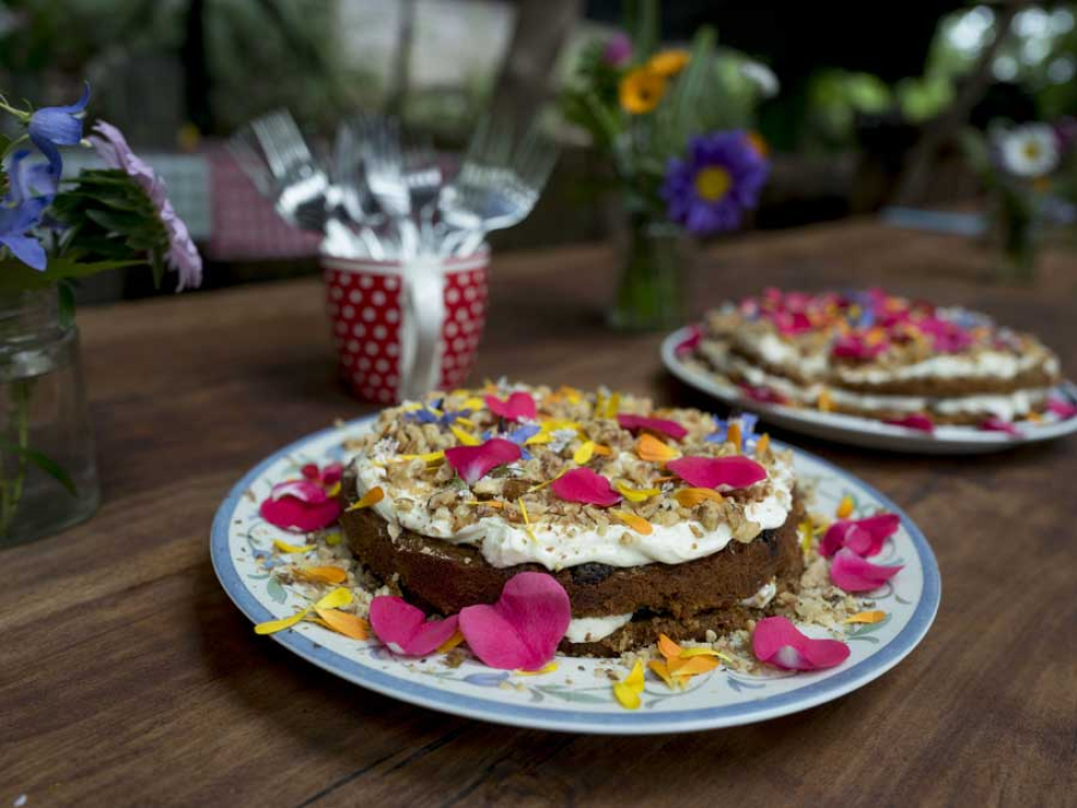 Women Woodland Retreats at Sharpham Trust