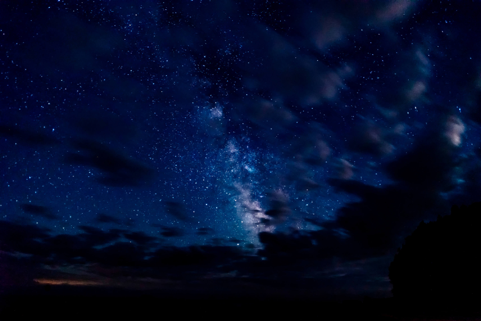 Star gazing at The Sharpham Trust