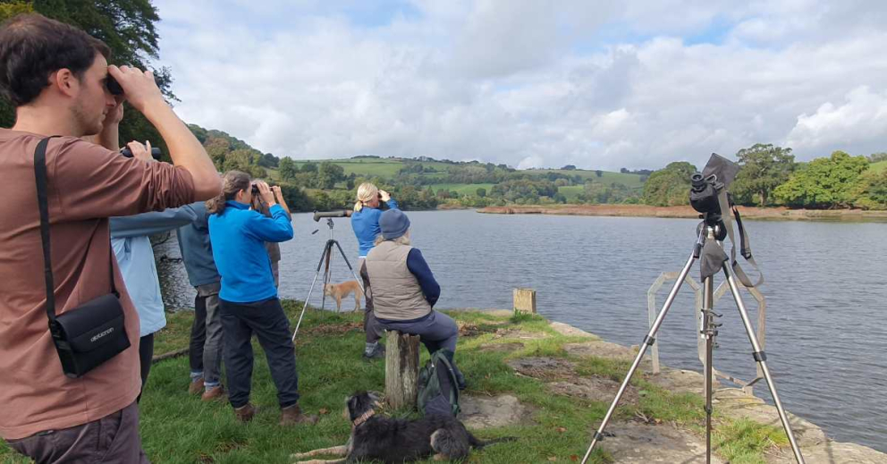 Conservation volunteers act as 'citizen scientists', helping to monitor wildlife and plants as part of our rewilding efforts
