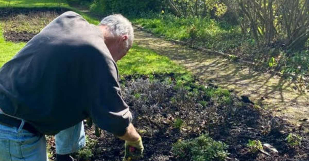 A Sharpham Trust garden volunteer in our organic gardens