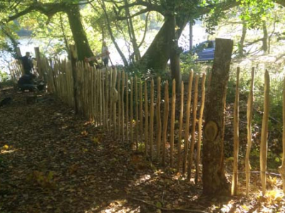 Volunteers make a new fence for The Sharpham Estate