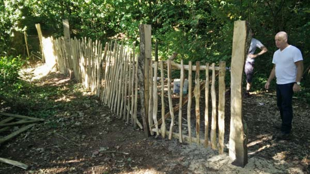 Volunteers make a new fence for The Sharpham Estate