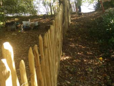 Volunteers make a new fence for The Sharpham Estate