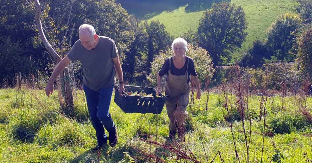 Volunteers assisting in the organic orchards on the Sharpham Estate