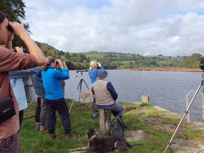 Volunteers as 'citizen scientists', monitoring and logging wildlife on the Sharpham Estate