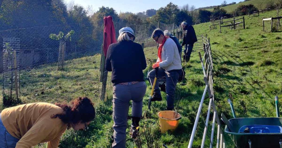 Volunteers assisting in the organic orchards on the Sharpham Estate