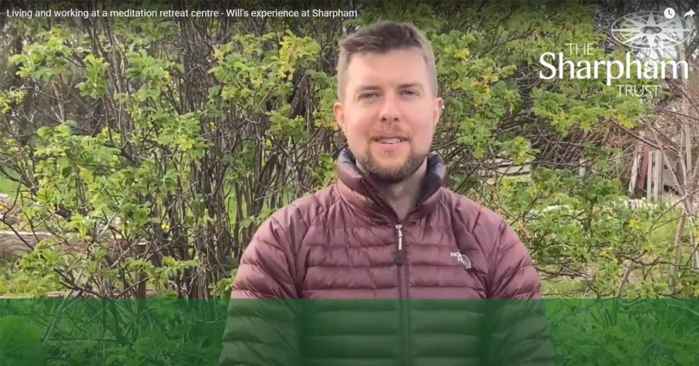 Will, Volunteer Coordinator