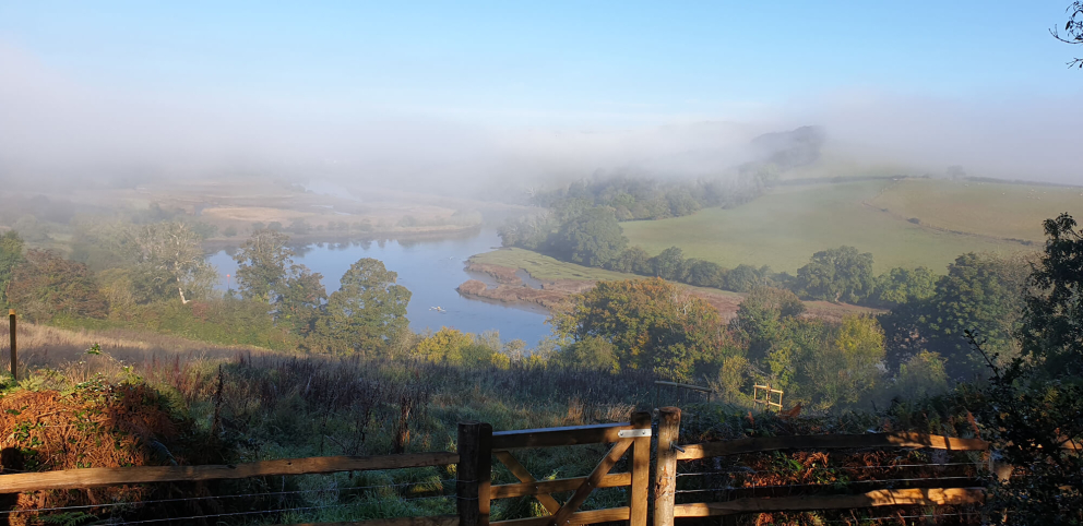 Nature View of the River Dart