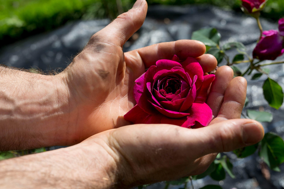 Support us in our work | Retreats Since 1982 | The Sharpham Trust