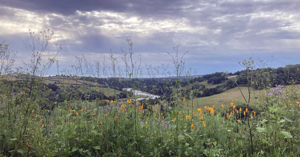View of the River Dart from close to The Barn retreat centre at Sharpham