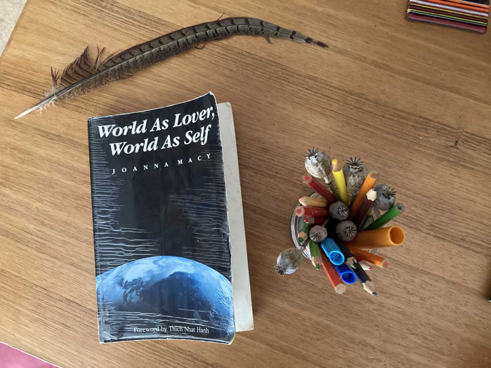 Cover of World As Lover, World As Self by Joanna Macy, in The Barn retreat centre library at The Sharpham Trust