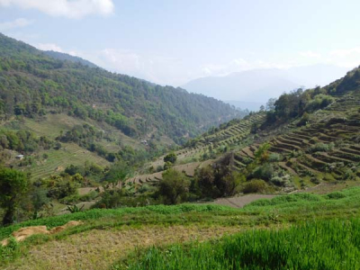 Farming terraces in the hills - witnessed by Sharpham Trust Director Julian Carnell on his visit to Bhutan