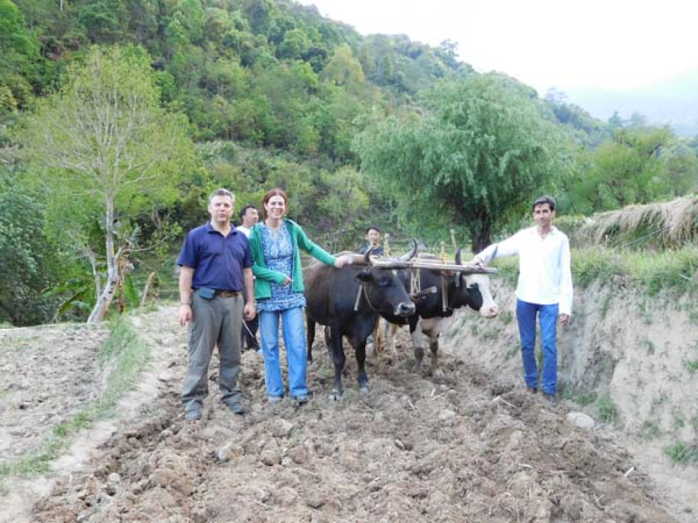 Sharpham Trust Director Julian Carnell joins in the ploughing in Bhutan