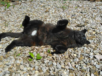 The Yin & Yang of Nimbus.