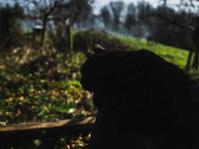 Nimbus. February 2018.