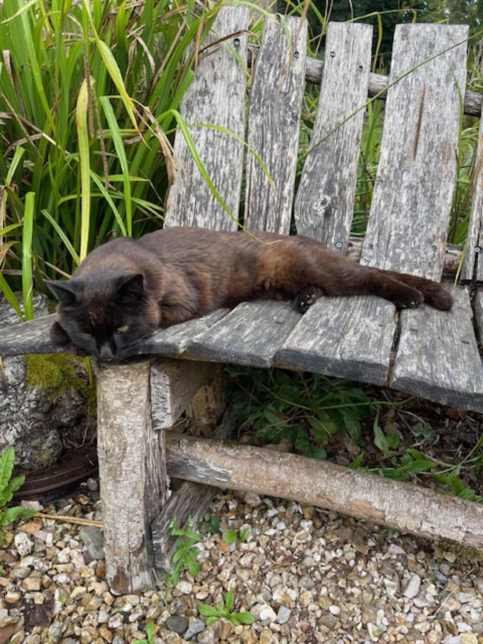 Enjoying the morning sunshine back in July this year