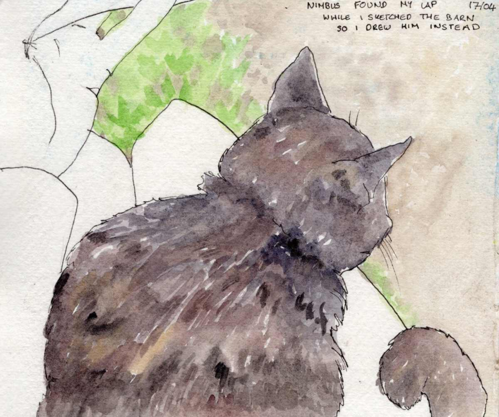 Nimbus found my lap...