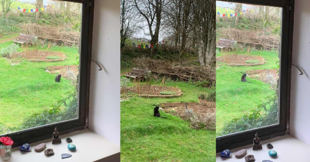 Nimbus through glass