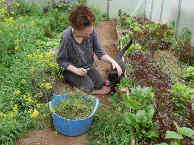 Nimbus teaches Erica about mindful working