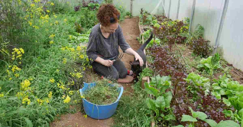 Nimbus teaches Erica about mindful working