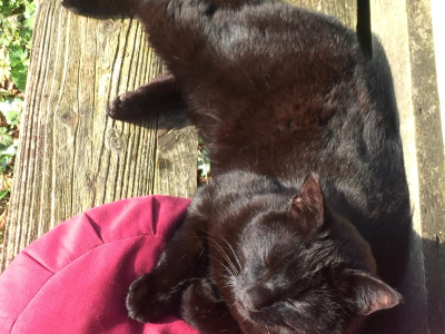 Nimbus on the cushion
