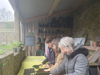 Seed saving at The Sharpham Trust