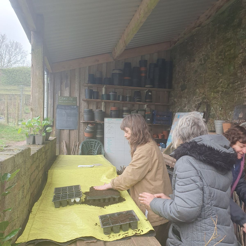 Seed saving at The Sharpham Trust
