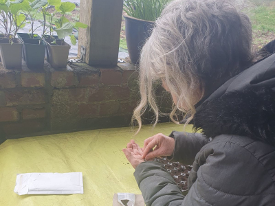 Seed saving at The Sharpham Trust